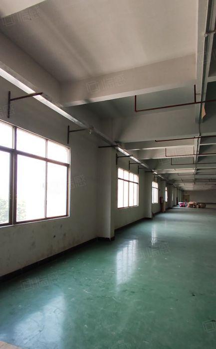 寮步楼上2500平方厂房出租，车间现成地坪漆，实际面积出租