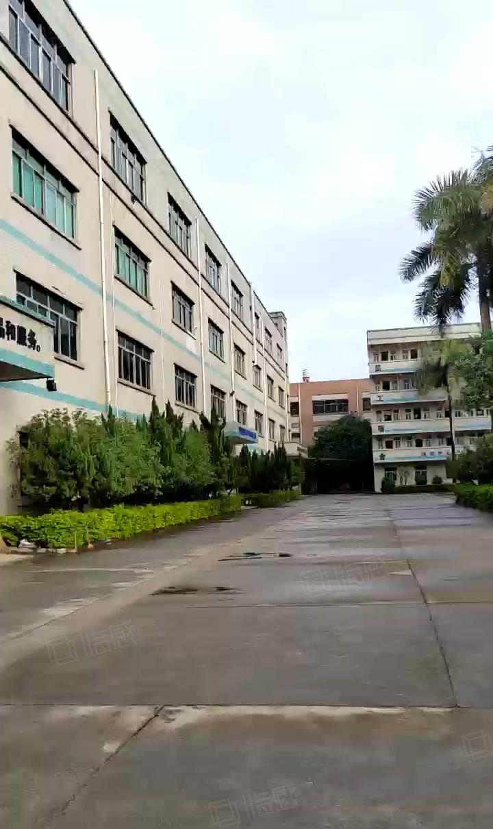 寮步靠近松山湖一手业主国有双证花园式厂房带豪华装修办公楼出租