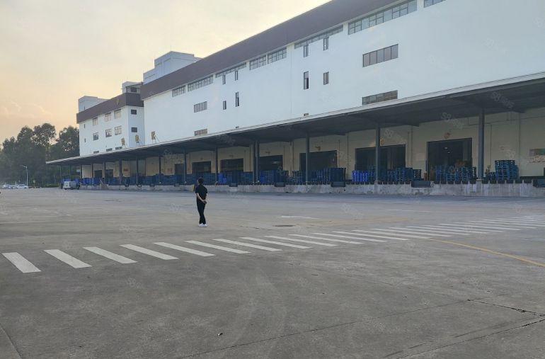 寮步镇13米高物流仓库，双高台仓库，电商仓库快递仓库，高速近