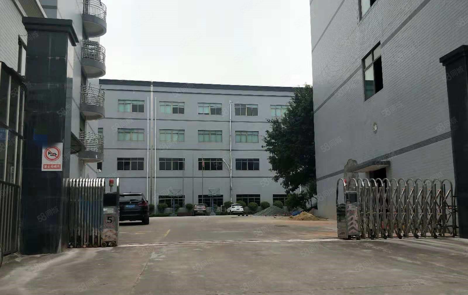 寮步 塘唇 即将空出 一楼 1500平方,形象超靓,位置好