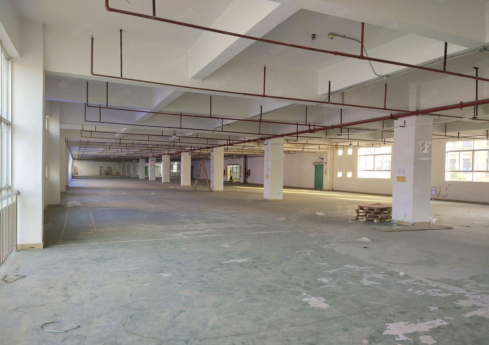 凤岗开达工业园独院2800平仓库厂房出租可分租