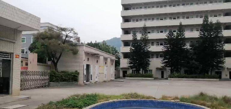 凤岗金凤凰工业区原房东独院22000平出租带办公室装修可分租