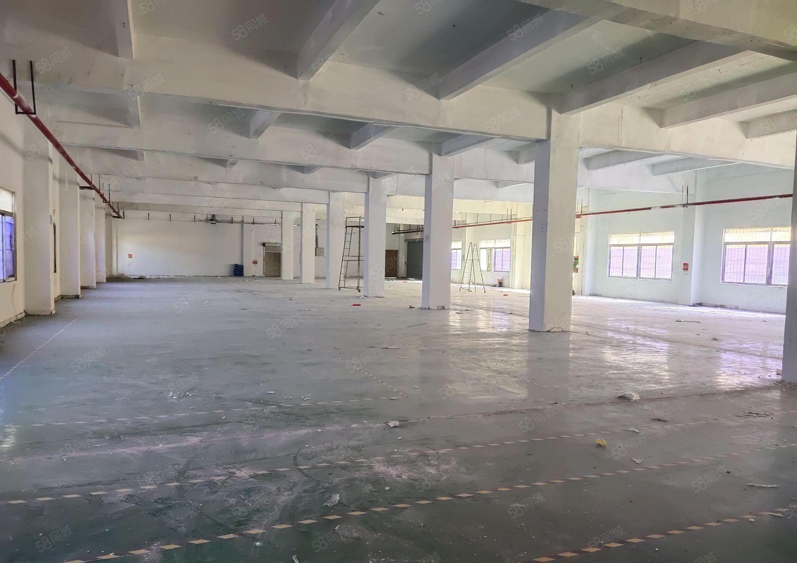 凤岗官井头小布工业区独院1600平一楼标准仓库厂房出租可分租