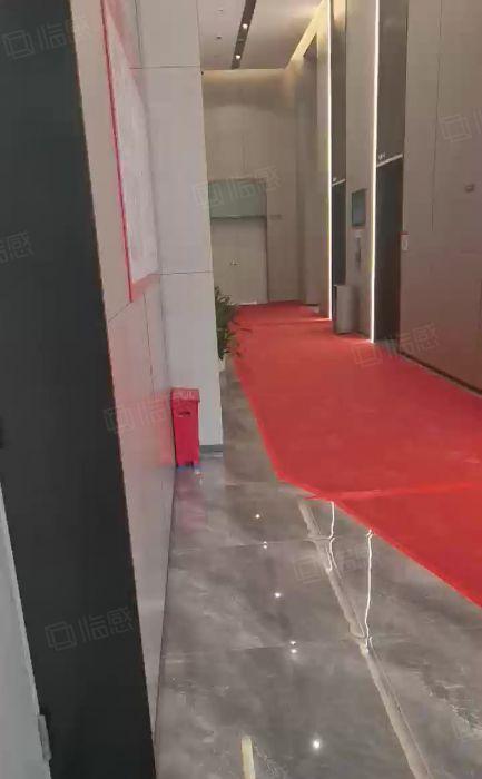 滴水8米原房东厂房出租独门独院全新产业园