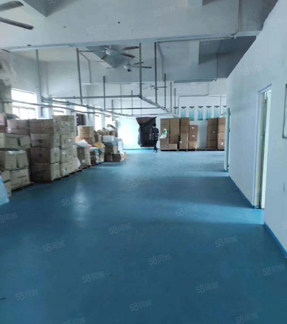 凤岗新出楼上厂房300平方，带办公室水电，地坪漆！！