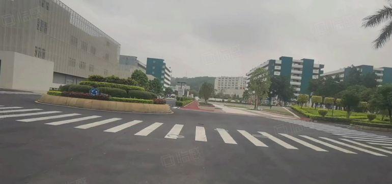 电商仓储物流仓！凤岗新出36000平独门独院厂房仓库出租