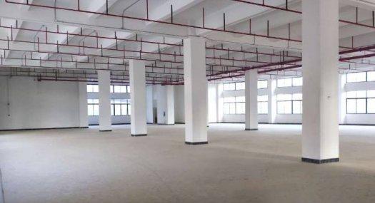 东莞东莞市 8600㎡ 厂房租售层高6米 跨度12米 配电600KVA