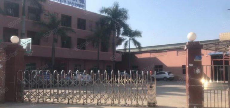 万江上甲原房东2000单一层独院厂房仓库低价出租