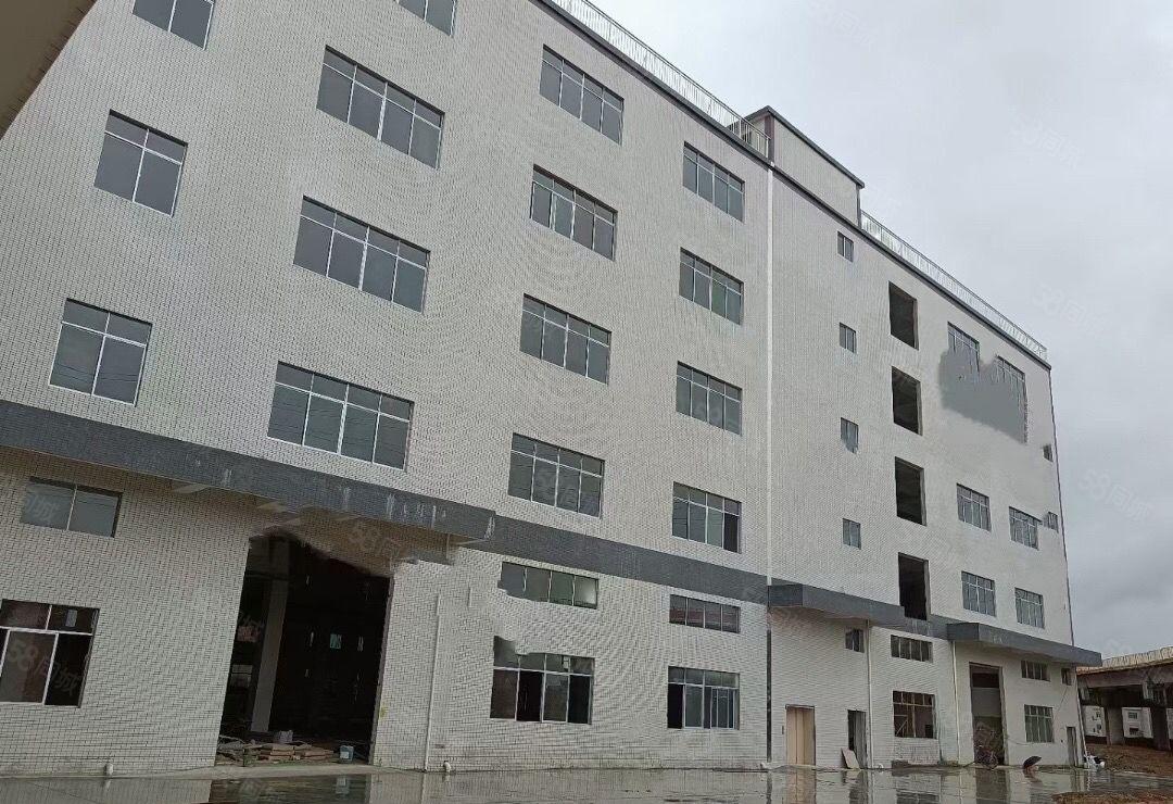 万江新出标准靓厂房，形象靓户型好，适合电子设备仓储
