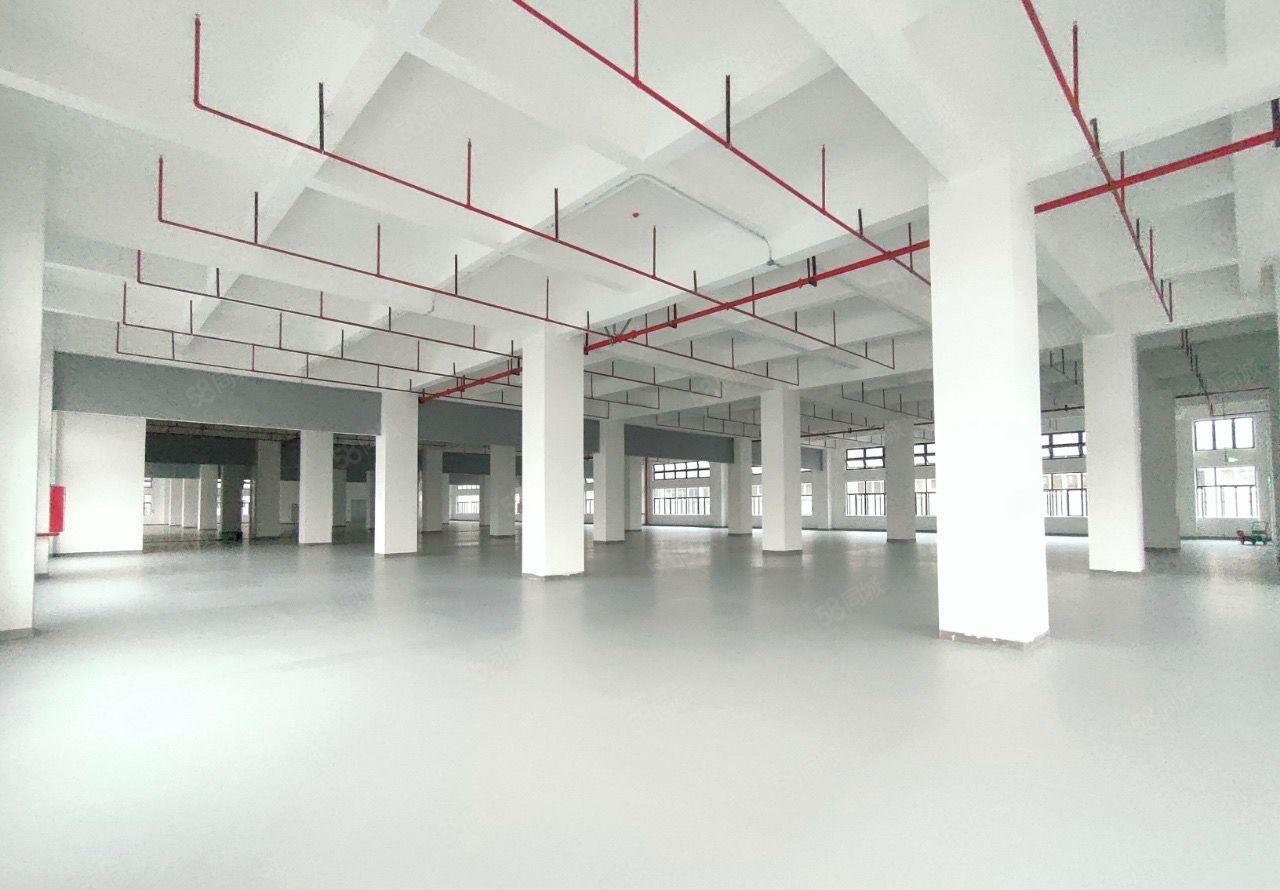 万江原房东新建标准厂房