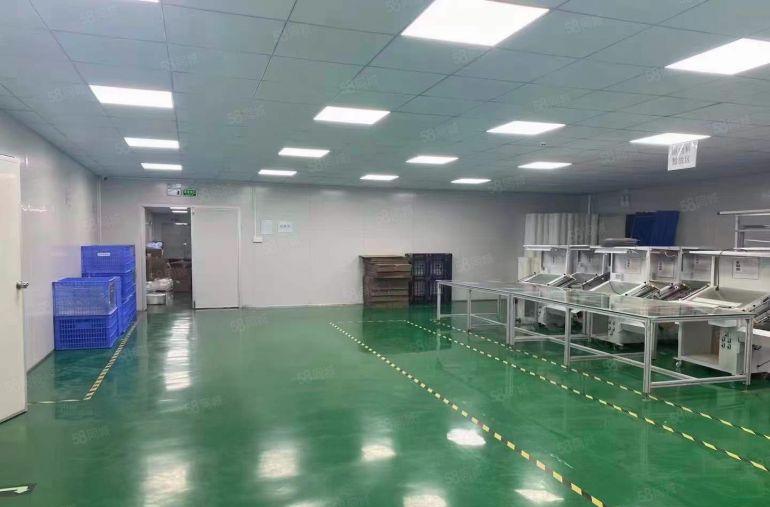 10元可谈万江原房东独院厂房1000平豪华装修无尘车间可分租