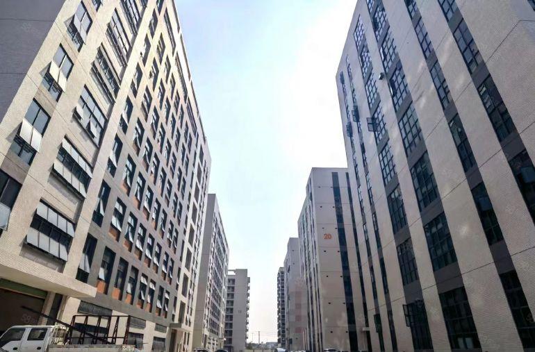 万江街道港口大道旁17层，15400方，可分租