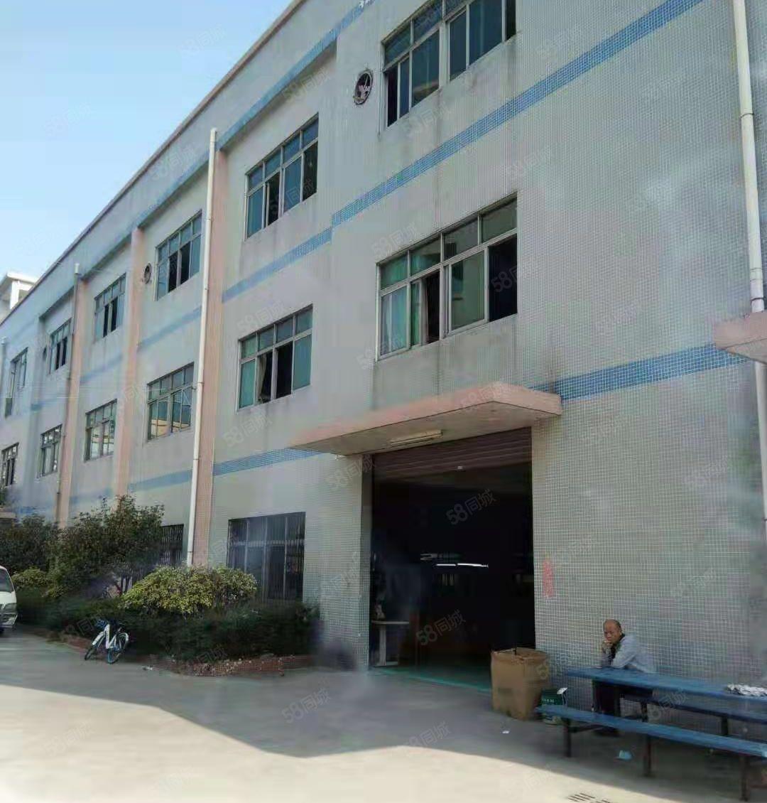 万江（水蛇涌）科技园独院靓厂房招租