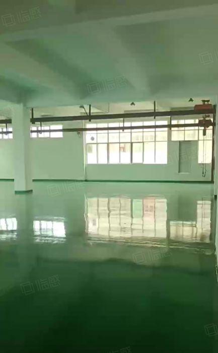 大朗镇中心区独院二楼全新地坪漆600平方厂房出租 水电齐全