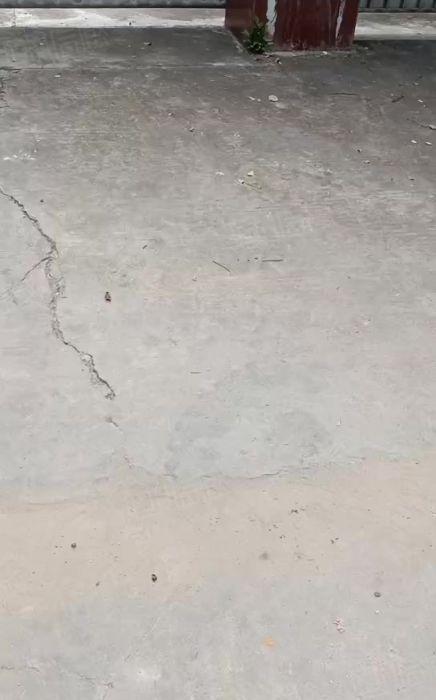 寮步单一层独院厂房,砖墙到顶滴水