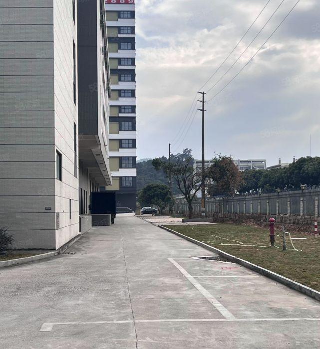 东莞大朗全新厂房低价招租（一手房东 价格实惠 园区配套齐全）