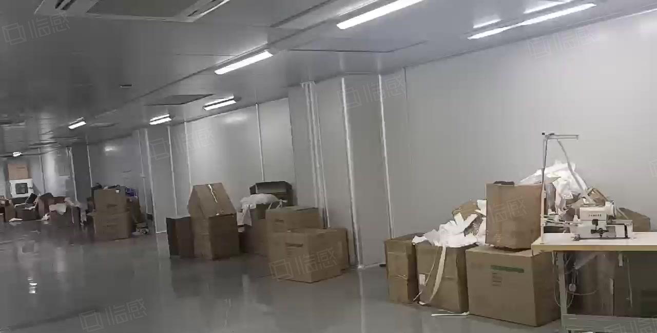 大朗镇新出无尘车间1800平