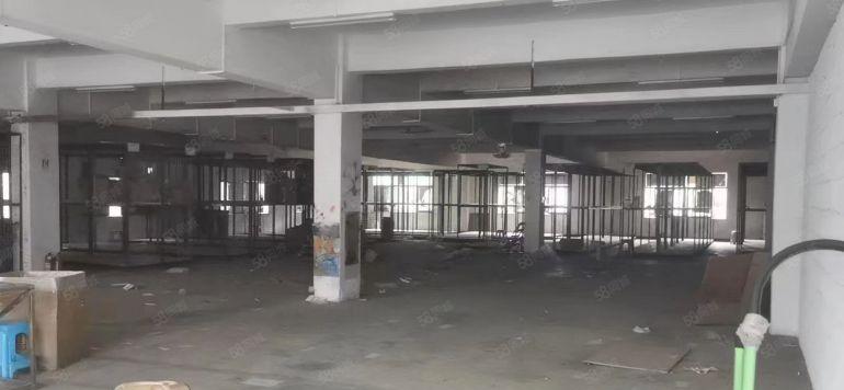 大朗美景路边特价6.9元标准厂房