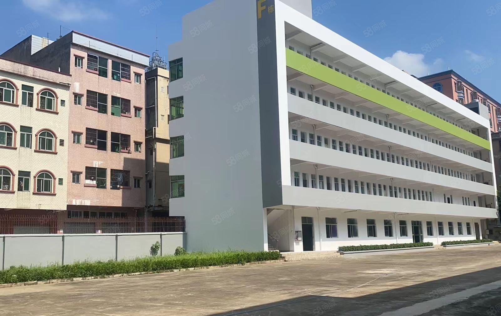 松山湖附近新出红本全新独院不限电