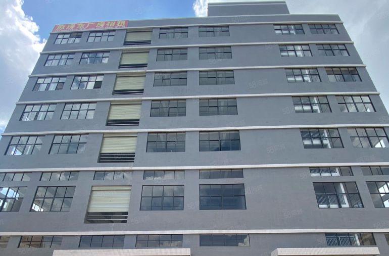 松山湖片区全新110米厂房原房东厂房出租独院