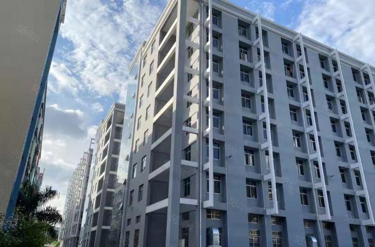 一楼，原房东自建红本厂房，大园区环境好，大量停车位