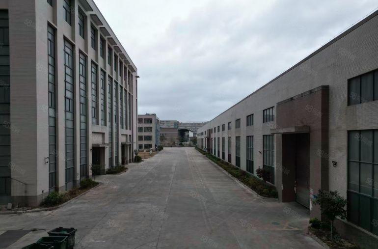 临深片区新出钢构加标准楼房独院国有双证齐全厂房出租