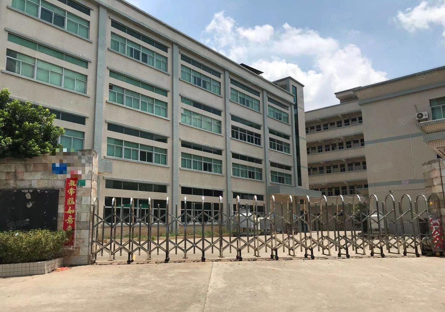 黄江北岸工业区新出一二楼标准花园式厂房，每层1600平，可分