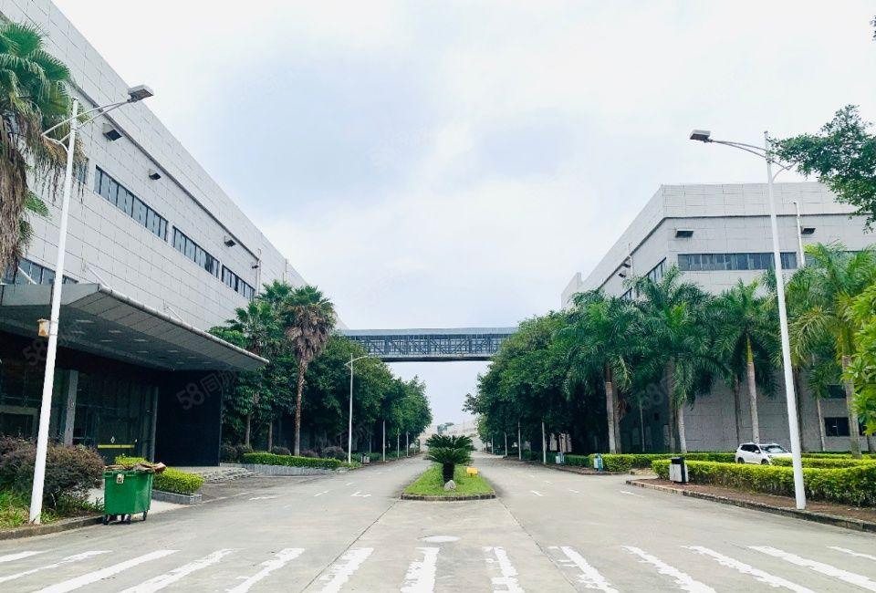 东莞临深片区大岭山镇一手房东独院，带房产证高大上园区厂房出租
