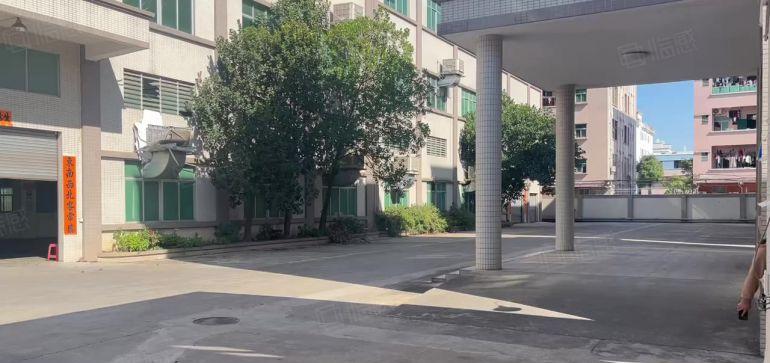 大岭山新出标准独院上市公司形象空地大带独栋豪华办公室带牛角位
