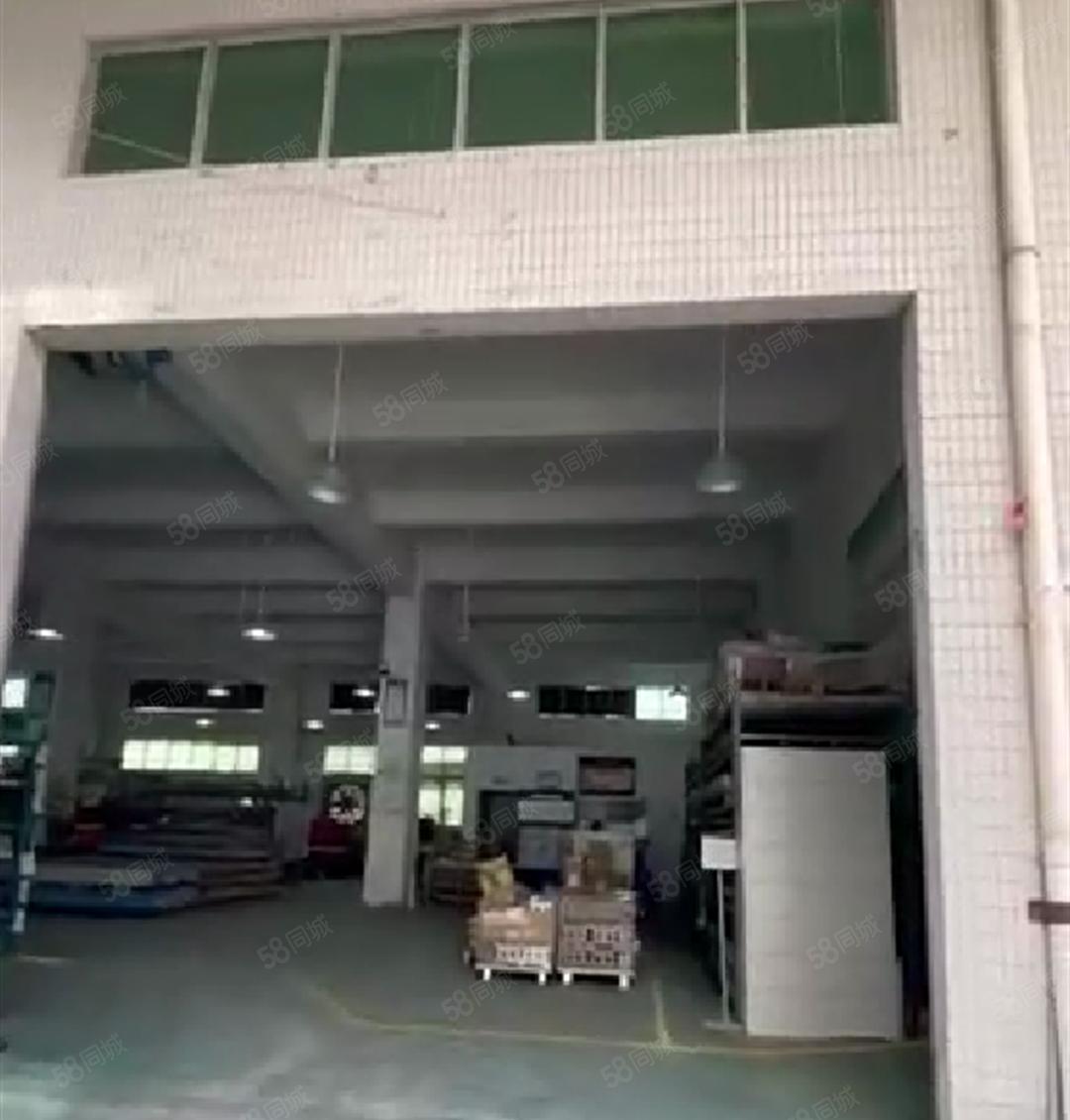 正在搬空！大岭山杨屋高速口，一楼重工业厂房出租 可分租带装修