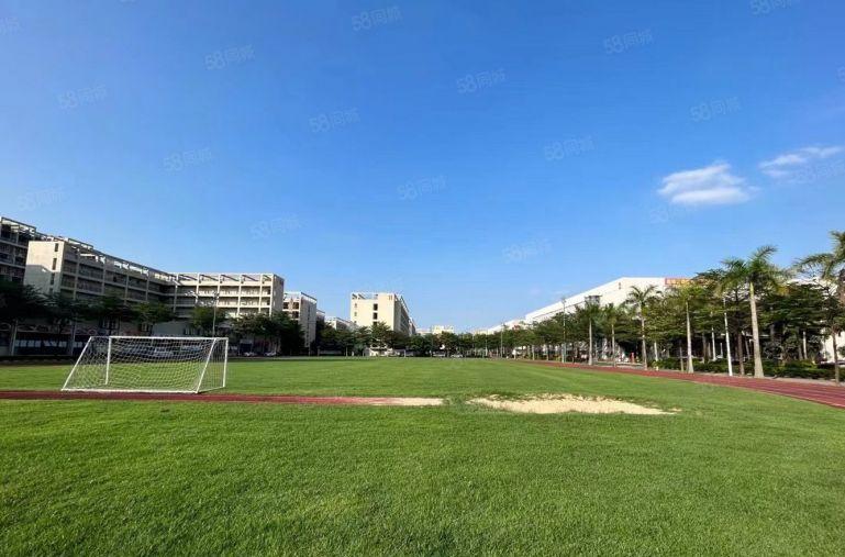 大岭山花园式标准厂房独院厂房分租，空地超大