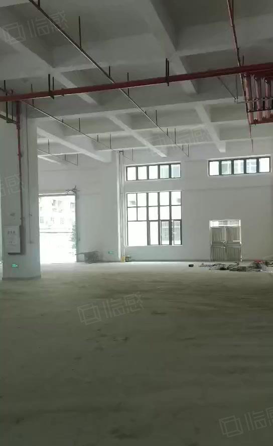 石碣水南原房东招租全新厂房一楼800平方，层高7.9米！