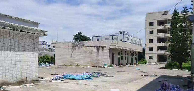 东莞清溪三中高速路口原房东独院13700平标准单一层厂房出租