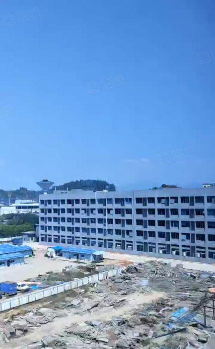 清溪厂房青皇超大空地全新厂房40000平出租可分租