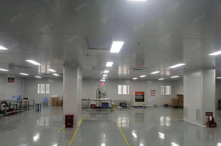 10元实量，零公摊，横沥原房东新建厂房出租，可分租有无尘车间
