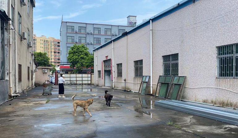 横沥镇三江工业区砖墙到顶小独院厂房出租
