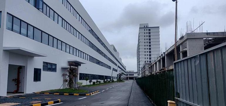 横沥镇模具城原房东厂房出租高度15米可分租带牛角位
