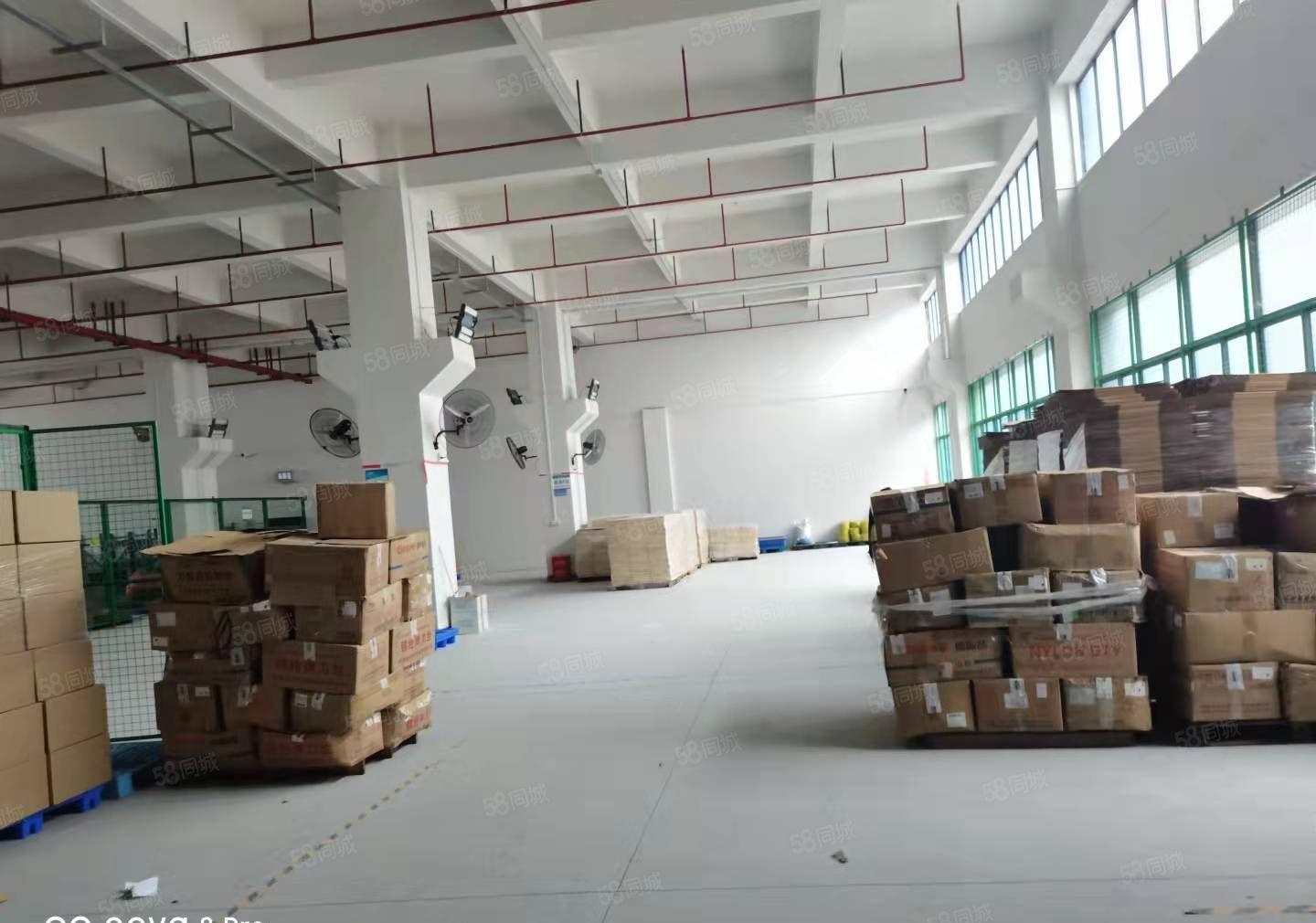 桥头镇新出厂小面积厂房分租一二楼1000平方，一楼高度7米