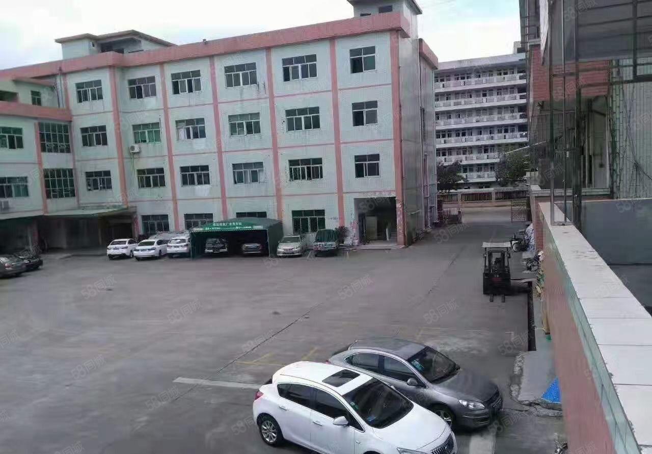 东坑镇工业园区精选厂房低价出租一楼500平方