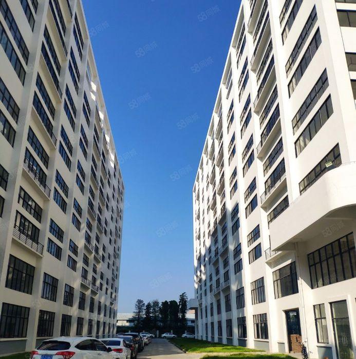 东莞水乡片区政府园区全新带红本厂房出租3千平方可分租，整租