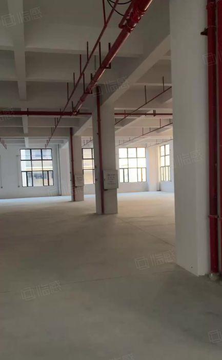茶山镇超朗工业区本地原房东全新独门独院厂房出租