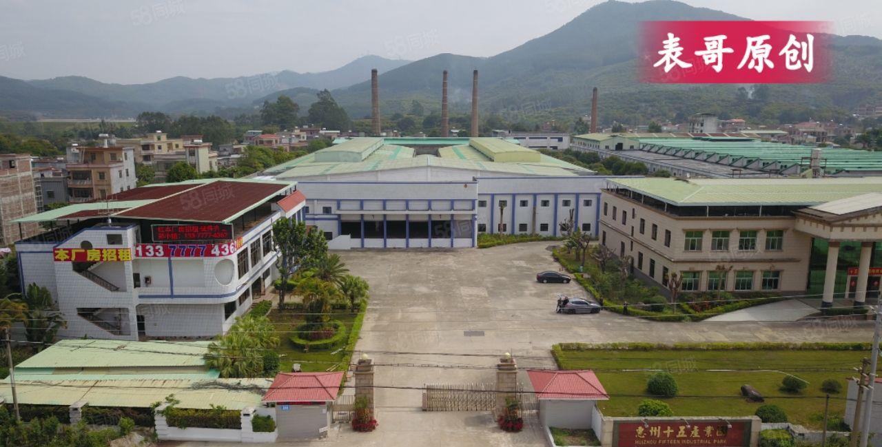 原房东单一层钢结构独门独院厂房出租