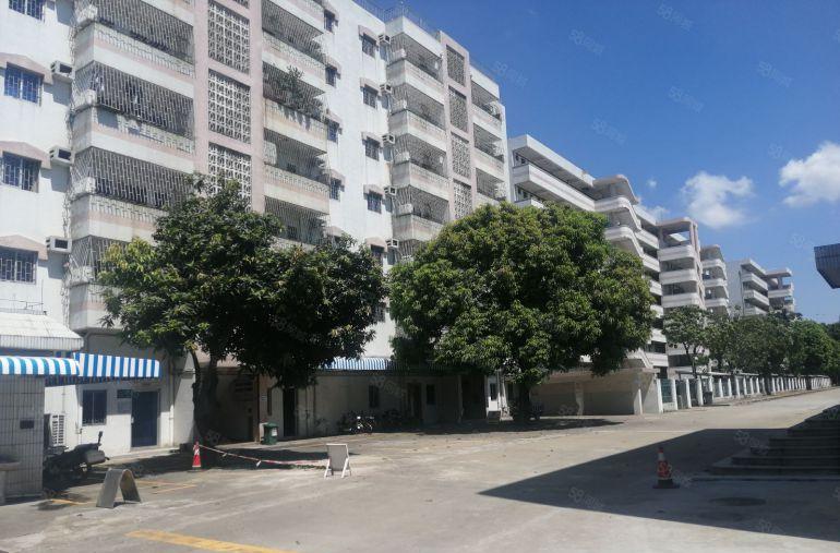 中堂超大空地40000多平方独门独院单一层高台仓低价出租