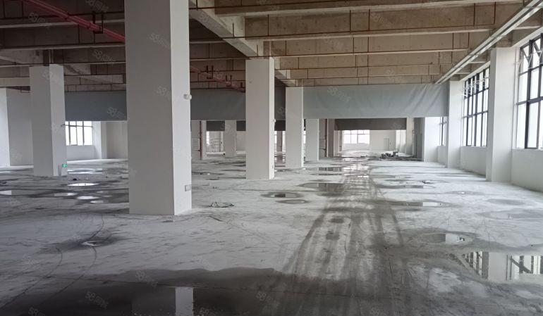 中堂镇带卸货平台仓库出租，有12个液压平台，6部5吨梯
