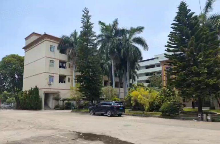 高埗草墩花园式独院，超大空地超靓厂房分租