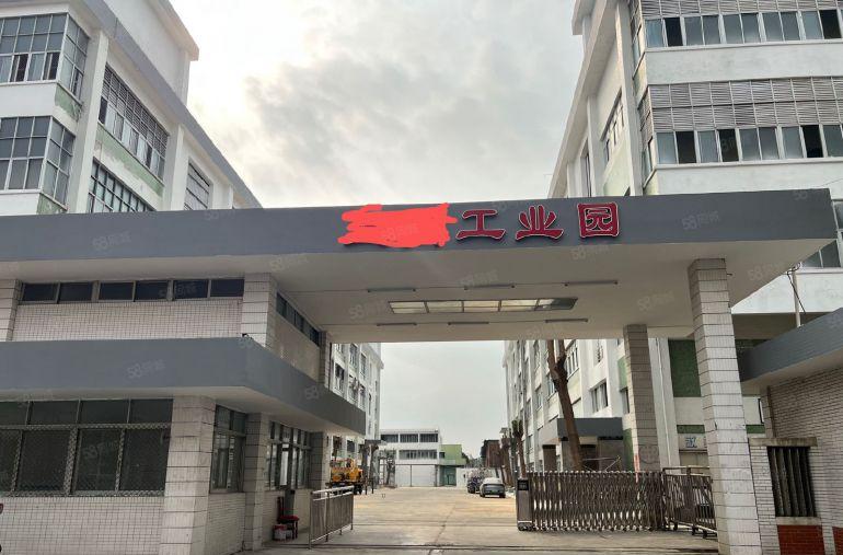 高埗免押金厂房出租，低到10元每平米，大小可分