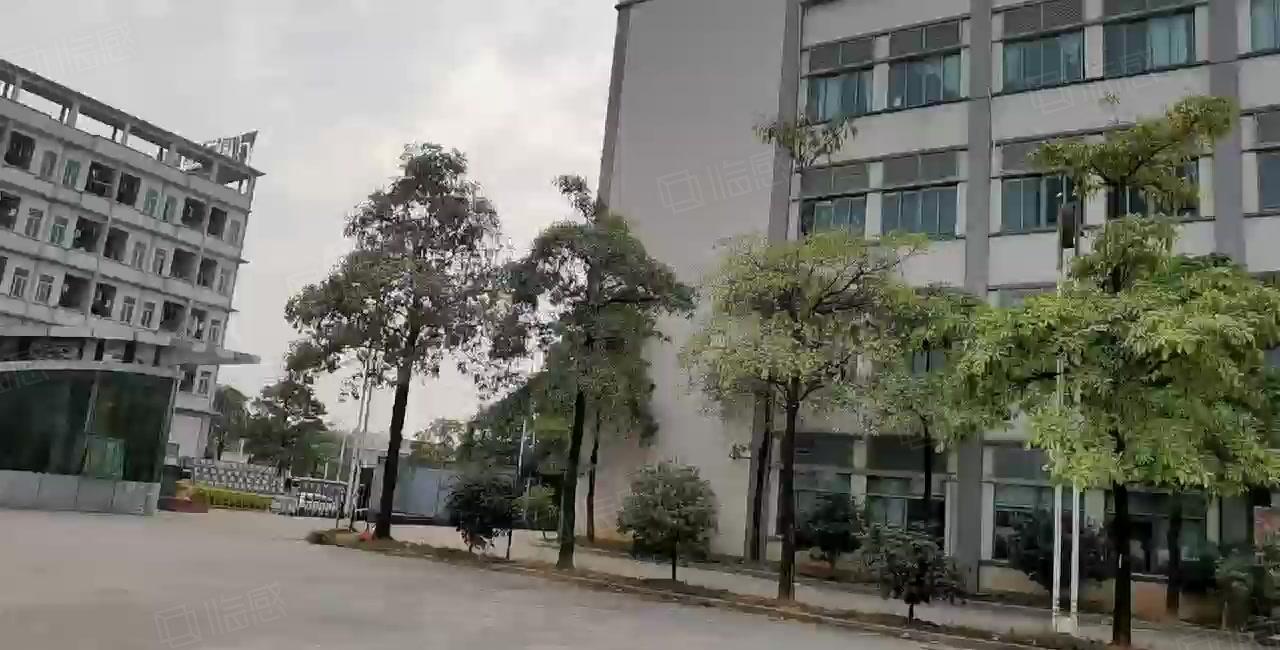 高埗镇独院标准厂房出租10500平方可分租可办环评空地超大