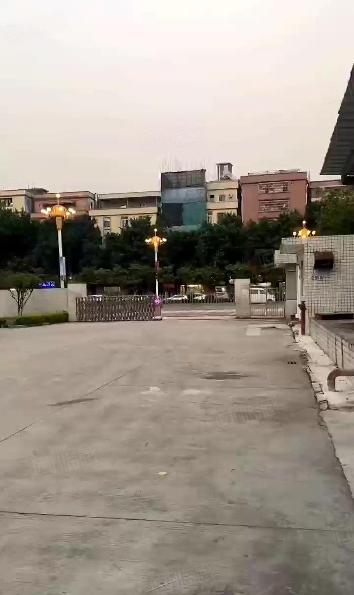 空出花园式独门独院标准厂房，原房东。总面积18000。