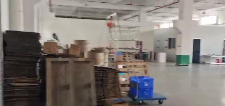 厂房出租企石工业区新出精装修厂房一楼出租