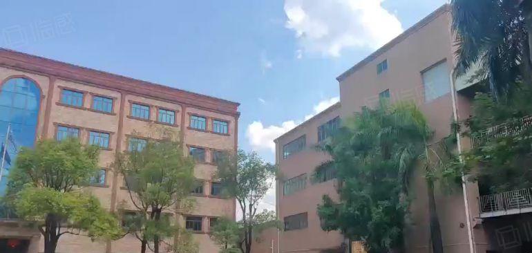 原房东花园式独立办公楼厂房出租